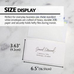BAZIC Security Self Seal Envelope 3 5/8" x 6 1/2" #6, No Window Tint Pattern Mailing Envelopes, Peel & Seal (80/Pack), 1-Pack