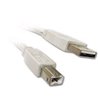 6Ft USB 2.0 A Male to B Male 28/24AWG Data sycn Cable Cord