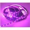 16ft non-waterproof 300 SMD-3528-LED Bulbs Flexible LED Strip (6-LEDs/4inches)