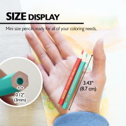 BAZIC 24 Mini Color Pencil, Assorted Colors Pencils Set, Smooth Soft Core, Ideal Coloring Drawing for Painting Coloring Sketchin