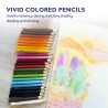 BAZIC 24 Mini Color Pencil, Assorted Colors Pencils Set, Smooth Soft Core, Ideal Coloring Drawing for Painting Coloring Sketchin